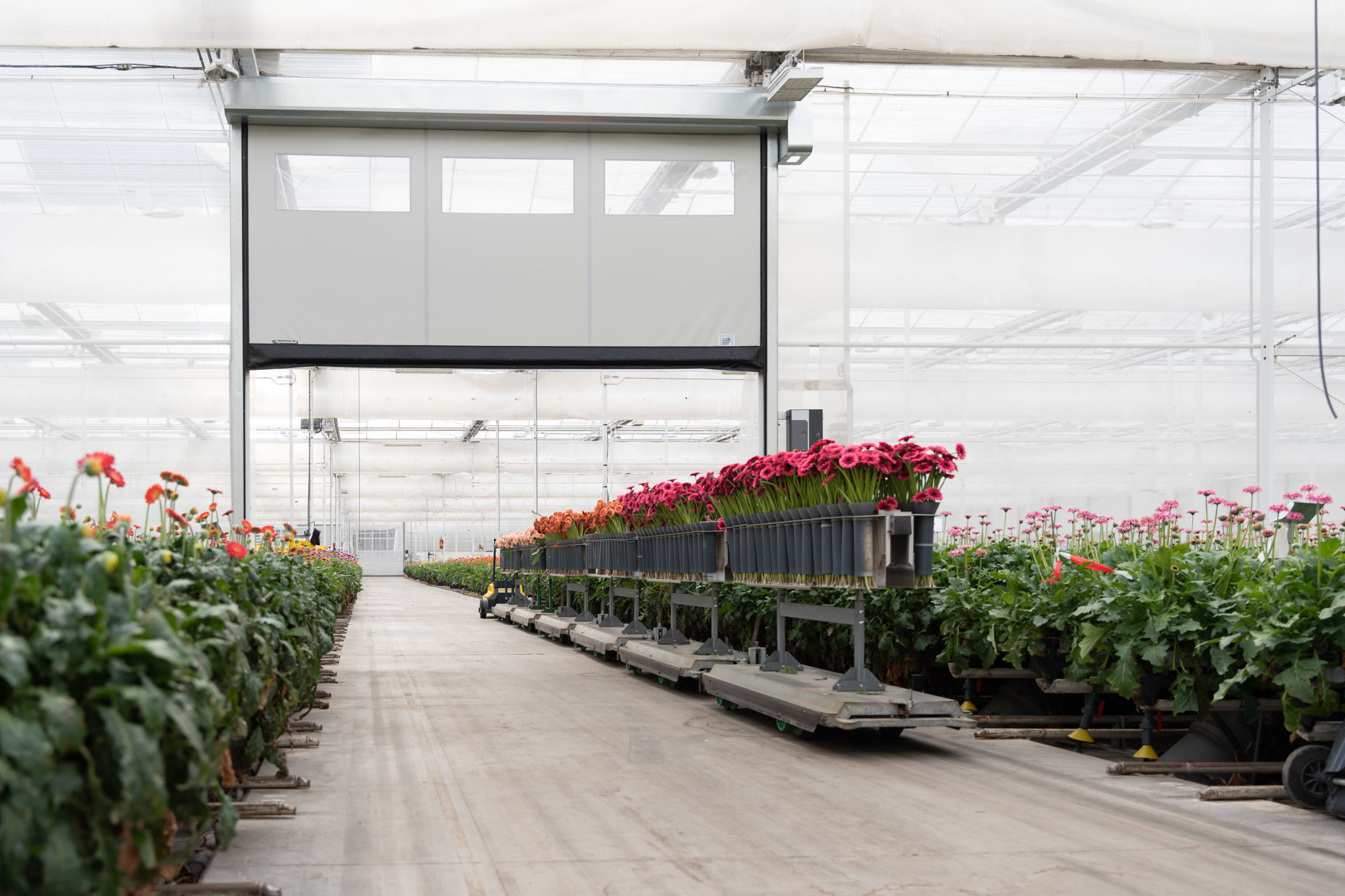 Snelloopdeur_deurtechnieken